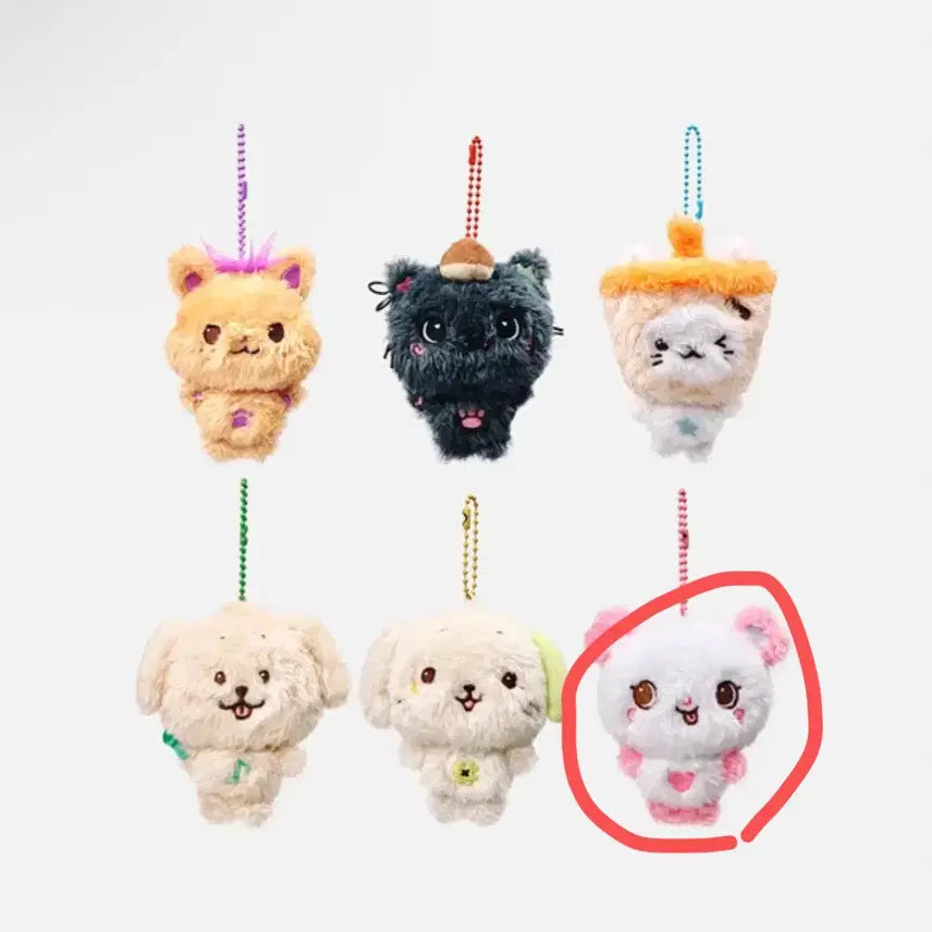 [BUNJANG] NCT WISH Pocket Wish Doll Pangy (Sealed) / 미개봉현물) 엔시티위시 포켓 위시돌 팡이
