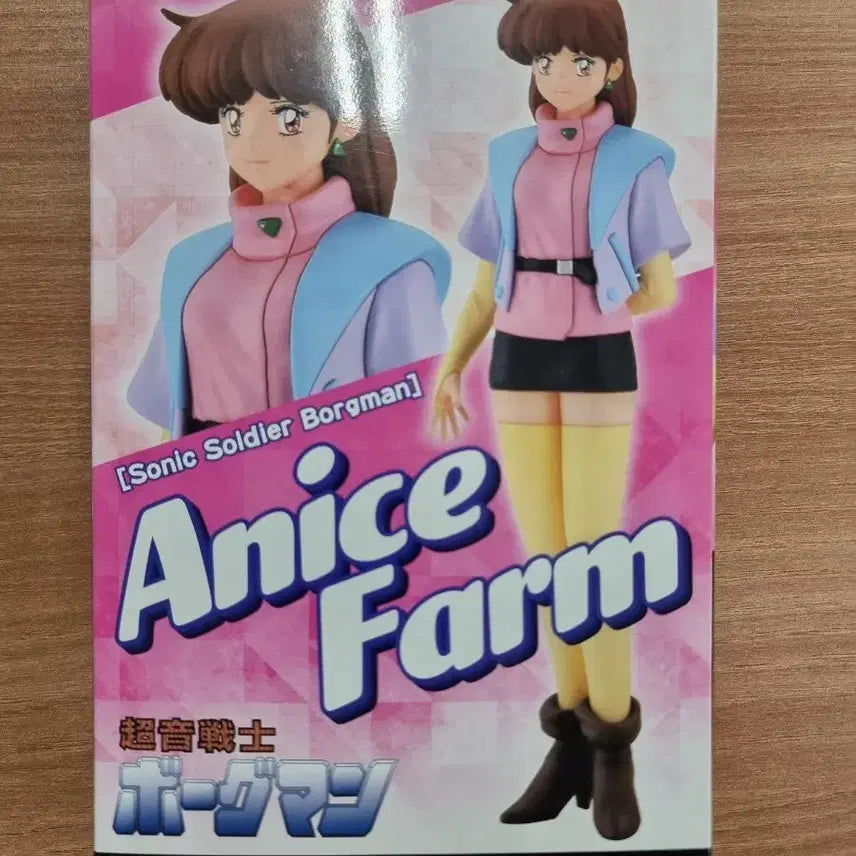 [BUNJANG] Hasegawa Chou On Senshi Borgman Anise Farm 1/12 Scale Resin Kit / 하세가와 초음전사 보그맨 아니스 팜 1/12 스케일 레진 키트