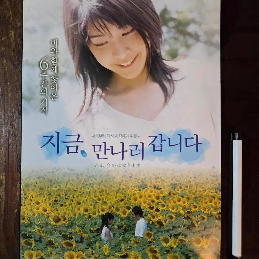 [BUNJANG] Now You See Me Movie Leaflet &amp; Lobby Still Set / 지금만나러갑니다. /  영화 홍보전단지 / 영화자료/고전희귀