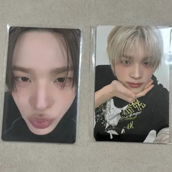 [BUNJANG] TWS Shinyu Showket Live Lucky Draw POB Bundle Set Photocard / 투어스 신유 아궁빵 얼빡 특전 세트 쇼케라이브 럭드 포카 양도 tws
