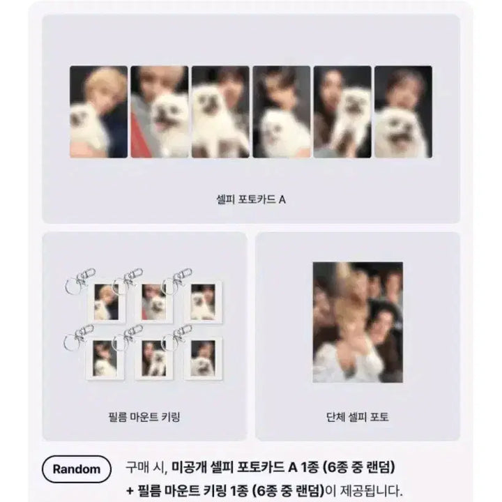 [BUNJANG] BOYNEXTDOOR Official Album Split Set (Weverse POB Photocard) / 보넥도 정규 일반반 분철 위버스 미공포 미개봉 앨범 특전 포카