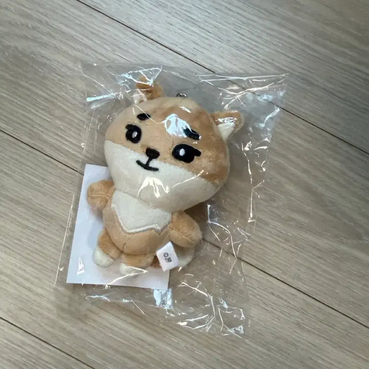 [BUNJANG] Day6 Young K MD Bag Charm Sealed / 데이식스 일본 엠디 백참 영케이 케 미개봉