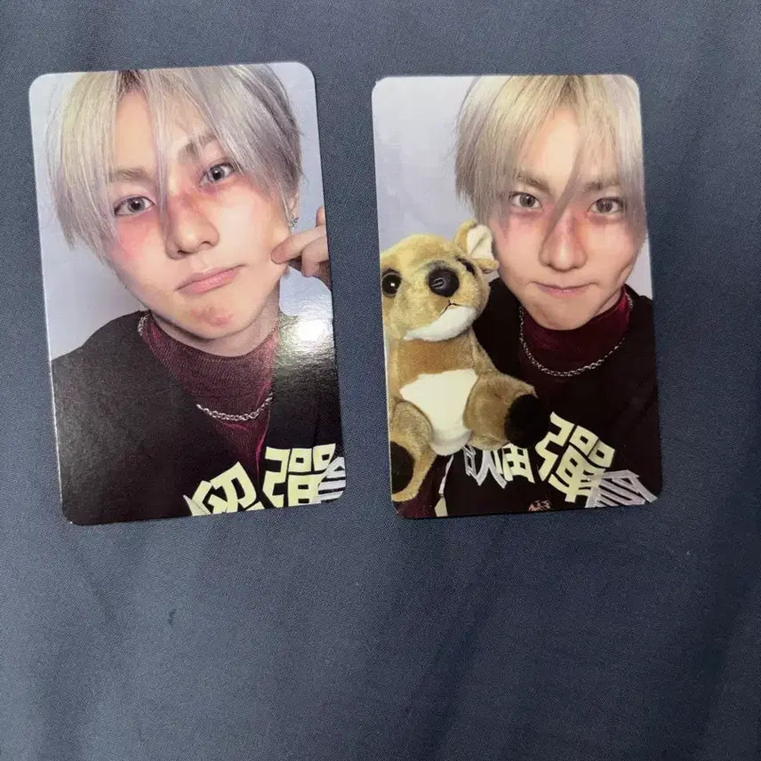 [BUNJANG] ENHYPEN Jungwon Desire &amp; Unlocked Photocard Bundle Set / 엔하이픈 정원 디자이어 언리쉬 포토카드 앨포 일괄
