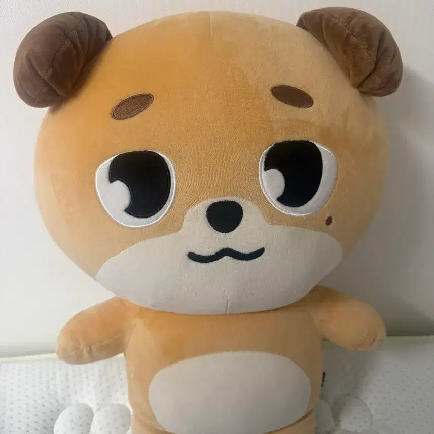 [BUNJANG] DAY6 Jammer Doll / 데이식스 자멀 돈이