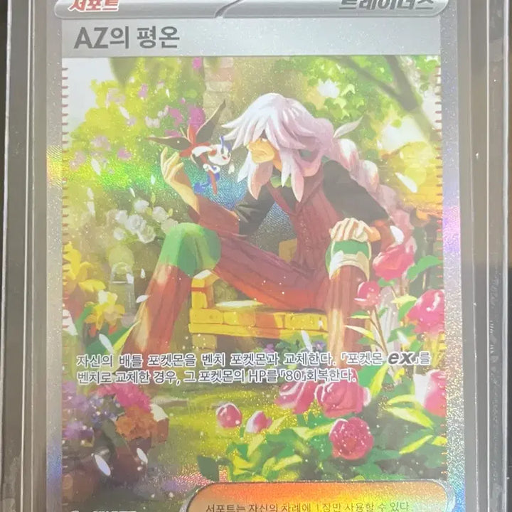[BUNJANG] Pokemon Card AZ&