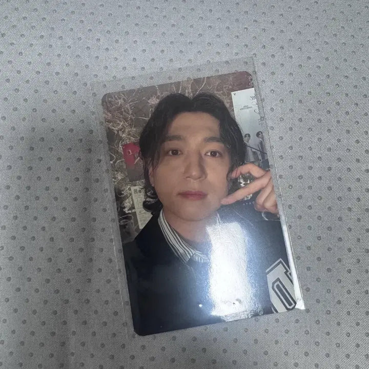 [BUNJANG] DENIMALS Pop-up POB Sungjin Photocard / 데니멀즈 팝업 특전 성진