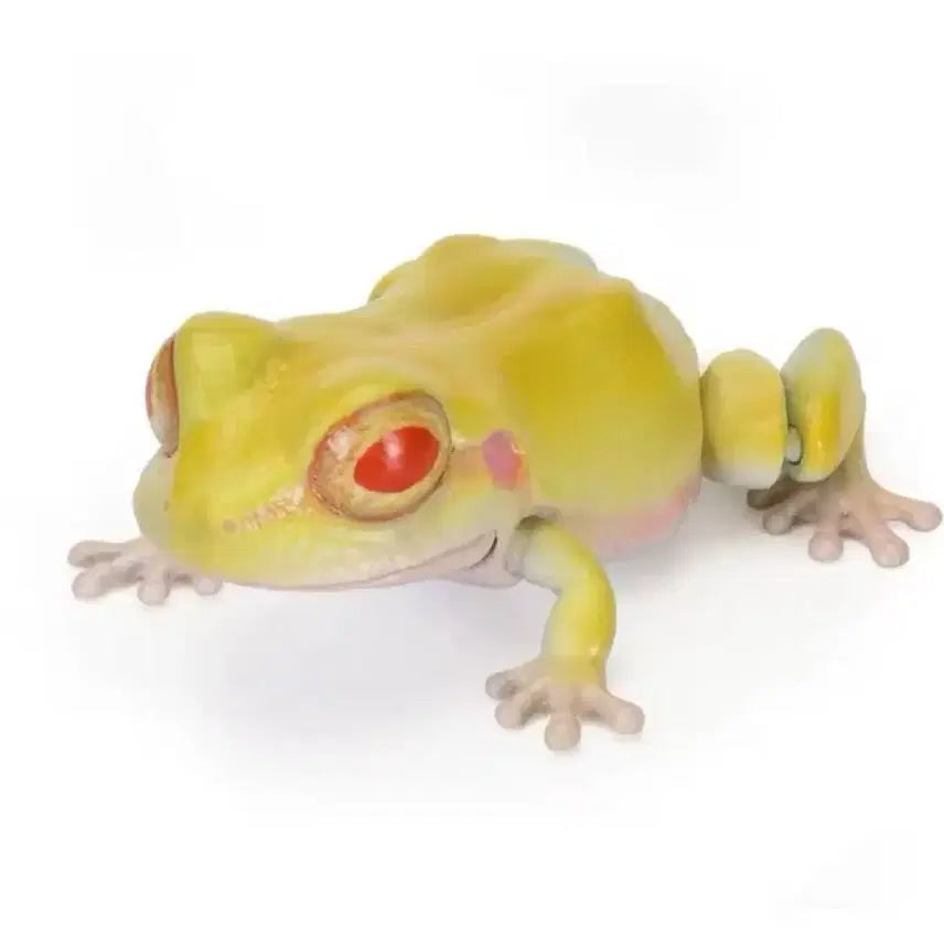 [BUNJANG] Realistic Frog Articulated Figure - Yellow / (새상품) 실사 개구리 관절 구현 생물도감 노랑 개굴 피규어 옐로우
