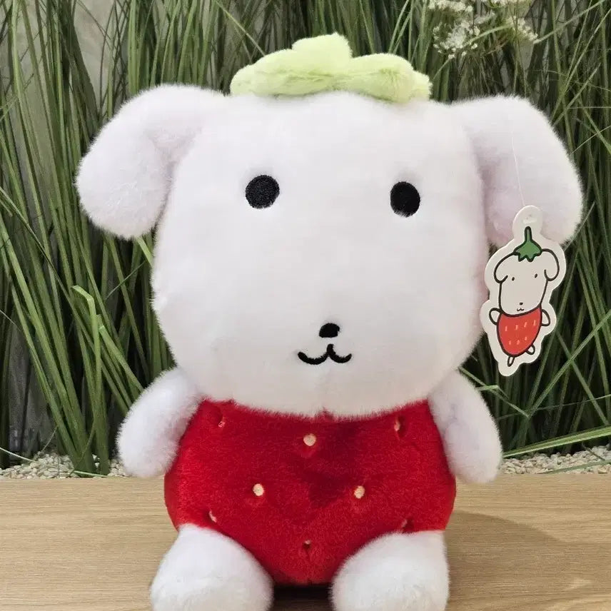 [BUNJANG] Medium Strawberry Dog Plush Toy / (새상품) 딸기 강아지 중형 인형