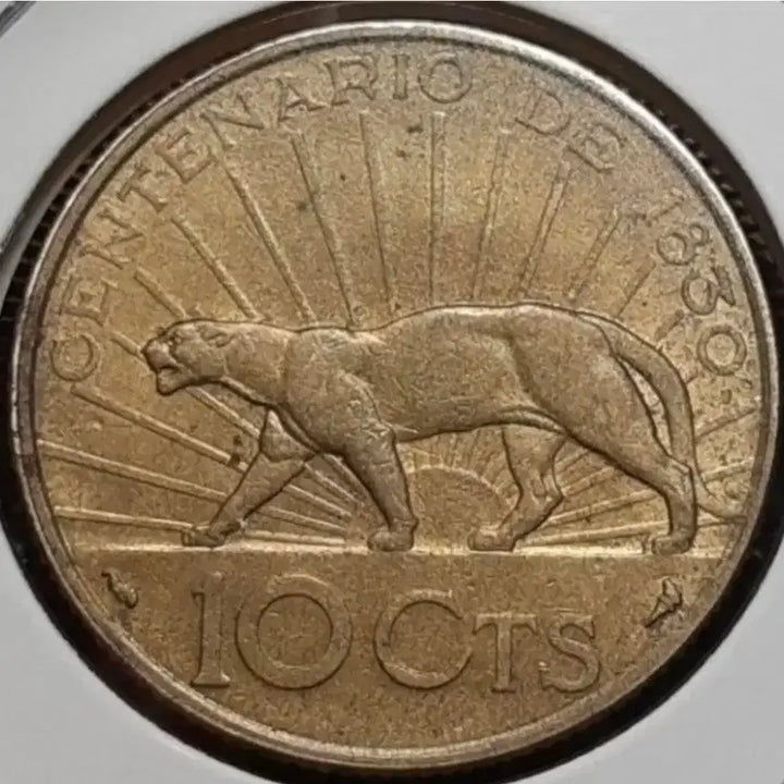 [BUNJANG] 1930 Uruguay 10 Centesimos Coin / 희귀 우루과이 1930년 10센타보스.외국주화 주화 화폐 동전