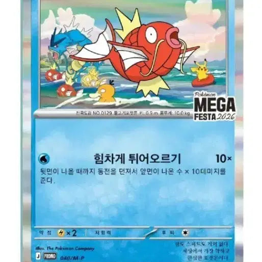 [SOLD OUT] 잉어킹 프로모 카드 2장 팔아요(내용 참고)