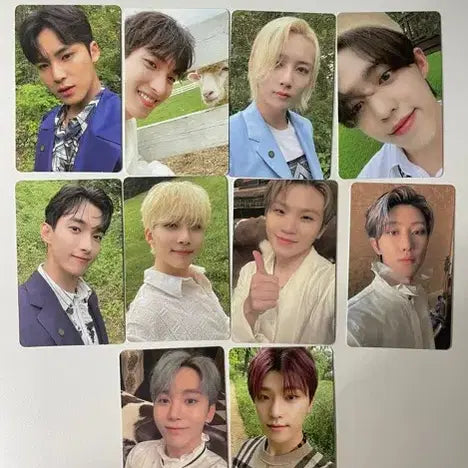 [BUNJANG] Seventeen Social Club Photocard Bundle Set / 세븐틴 소셜클럽 포카 포함 풀박