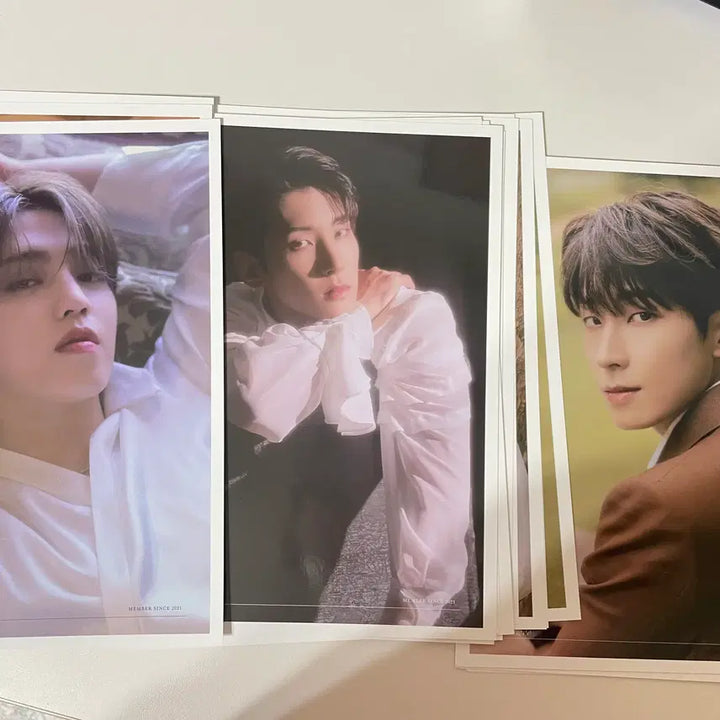 [BUNJANG] Seventeen Social Club Photocard Bundle Set / 세븐틴 소셜클럽 포카 포함 풀박