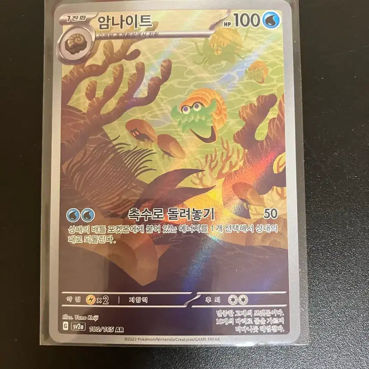 [BUNJANG] Pokemon Card Umbreon AR / 포켓몬카드 암나이트 ar