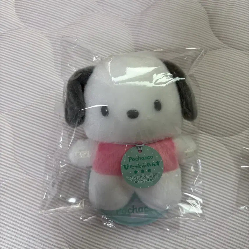 [BUNJANG] Sanrio Pochacco Pittato S Size Plush / 산리오 포차코 피탓토 s사아즈