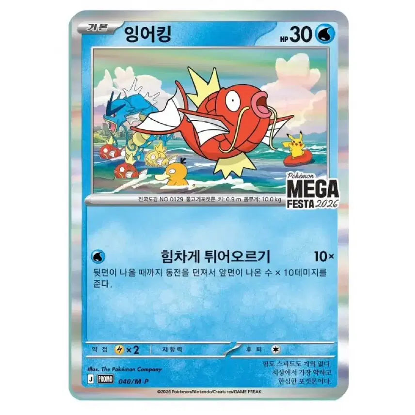 [BUNJANG] Pokemon Card Magikarp Promo Card / 포켓몬카드 성수 잉어킹 프로모 카드 판매합니다.
