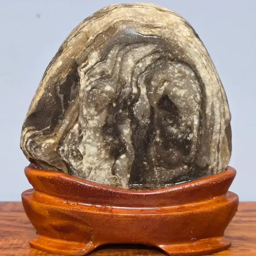 [BUNJANG] Super Moon Donggang Wolseok Processed Stone / 26052712 슈퍼문 동강 월석 가공 수석 팝니다