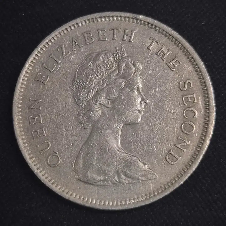 [BUNJANG] 1979 Hong Kong 1 Dollar Coin / 1979년 홍콩 1달러 동전 [EP. 3340]