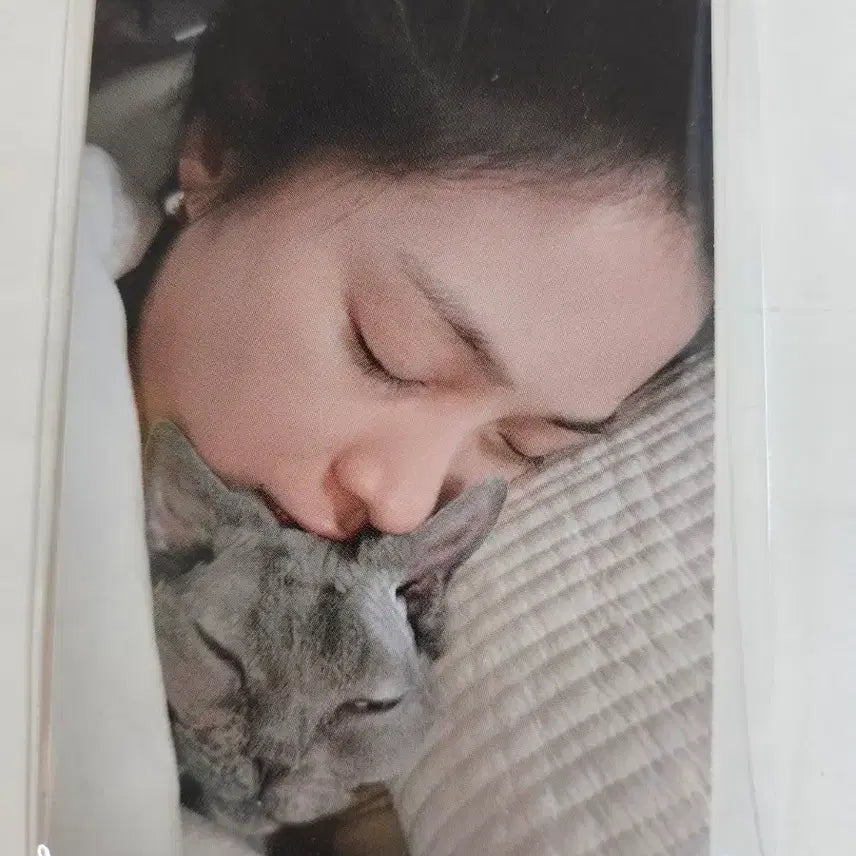 [BUNJANG] ITZY Ryujin Fan Meeting Photocard / 있지 류진 공방 포카 양도