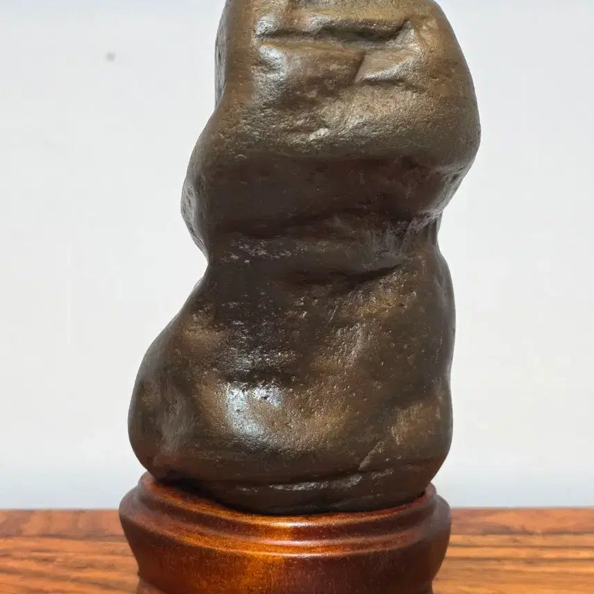 [BUNJANG] Indonesian Stone Scholar Sculpture / 26052716 인도네시아 입석 수석 팝니다