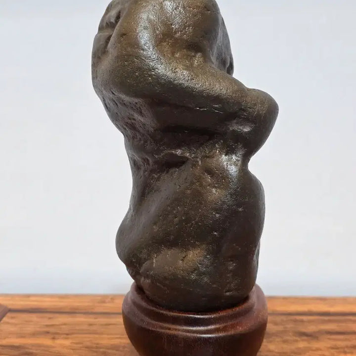 [BUNJANG] Indonesian Stone Scholar Sculpture / 26052716 인도네시아 입석 수석 팝니다