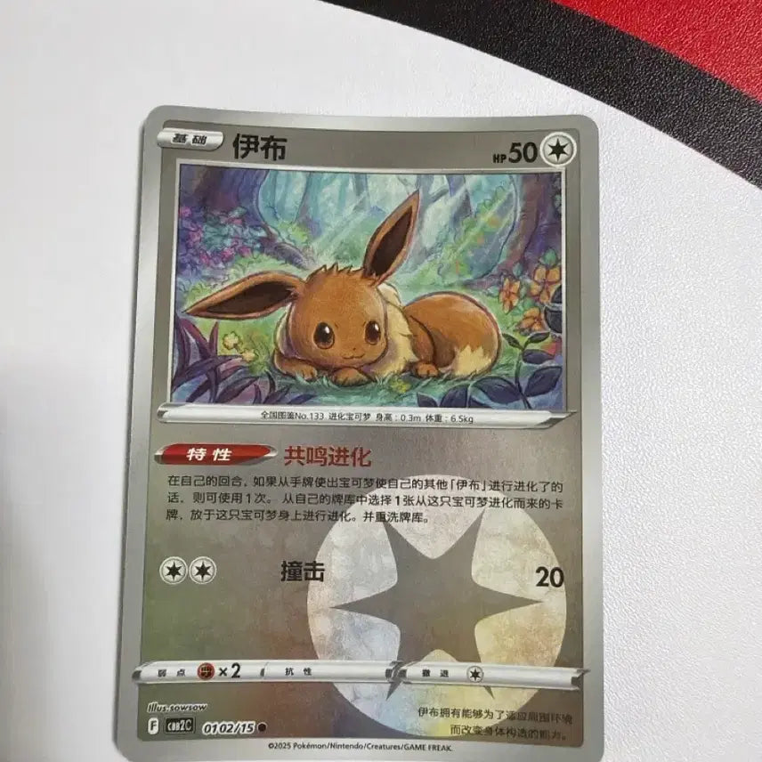 [BUNJANG] Pokemon Card Eevee Type Holo (Reprint) / 포켓몬카드 중판 이브이 타입홀로