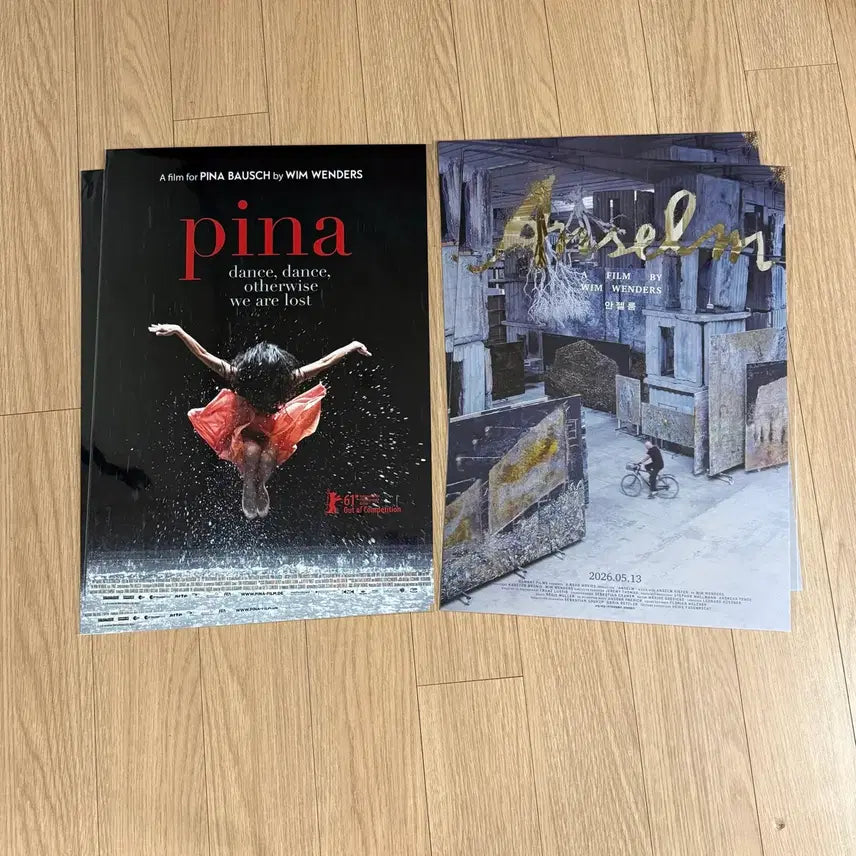 [BUNJANG] Wim Wenders Pina Original Film Poster / 피나 오리지널 포스터 안젤름 메인 포스터 빔벤더스 영화 아트하우스