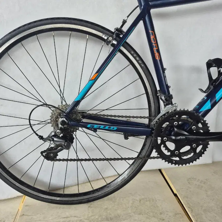 [BUNJANG] 2020 Cello Notus 1 Entry-Level Road Bike / 2020년형 첼로 노터스 1 (CELLO Notus 1) 입문용 로드 자