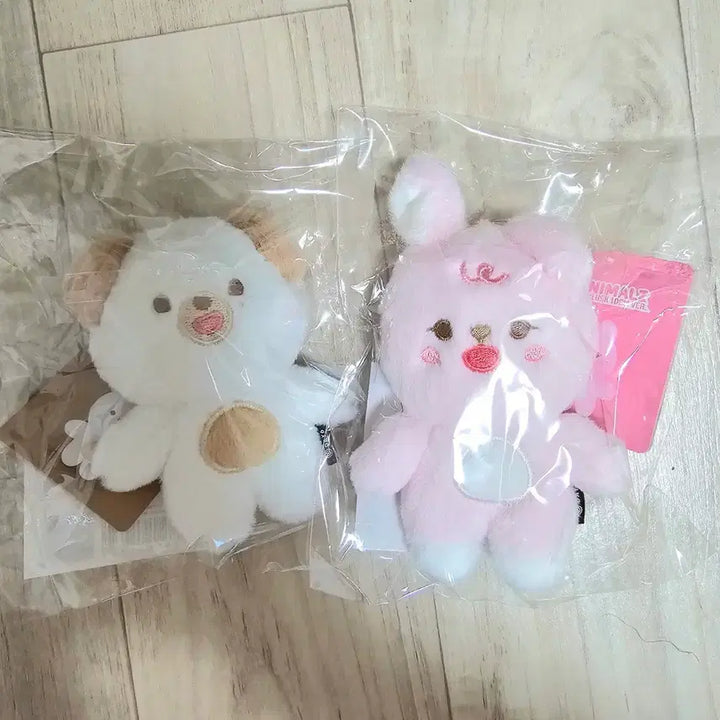 [BUNJANG] Day6 "The Present" Bundle Set / 새상품) 데이식스 쁘멀 필돈 일괄 양도