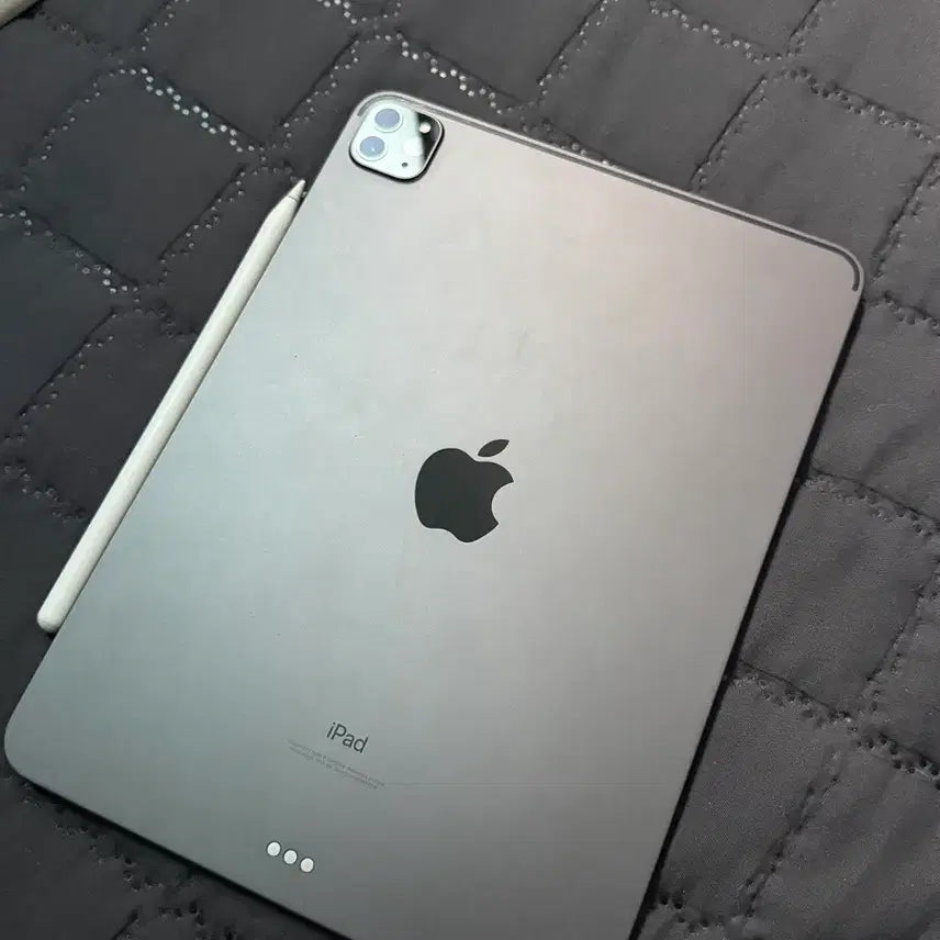 [BUNJANG] Apple iPad Pro 11-inch 2nd Gen 128GB + Apple Pencil 2nd Gen Bundle / 급처 풀박스 아이패드 프로 11 2세대 128gb + 애플펜슬 2세대