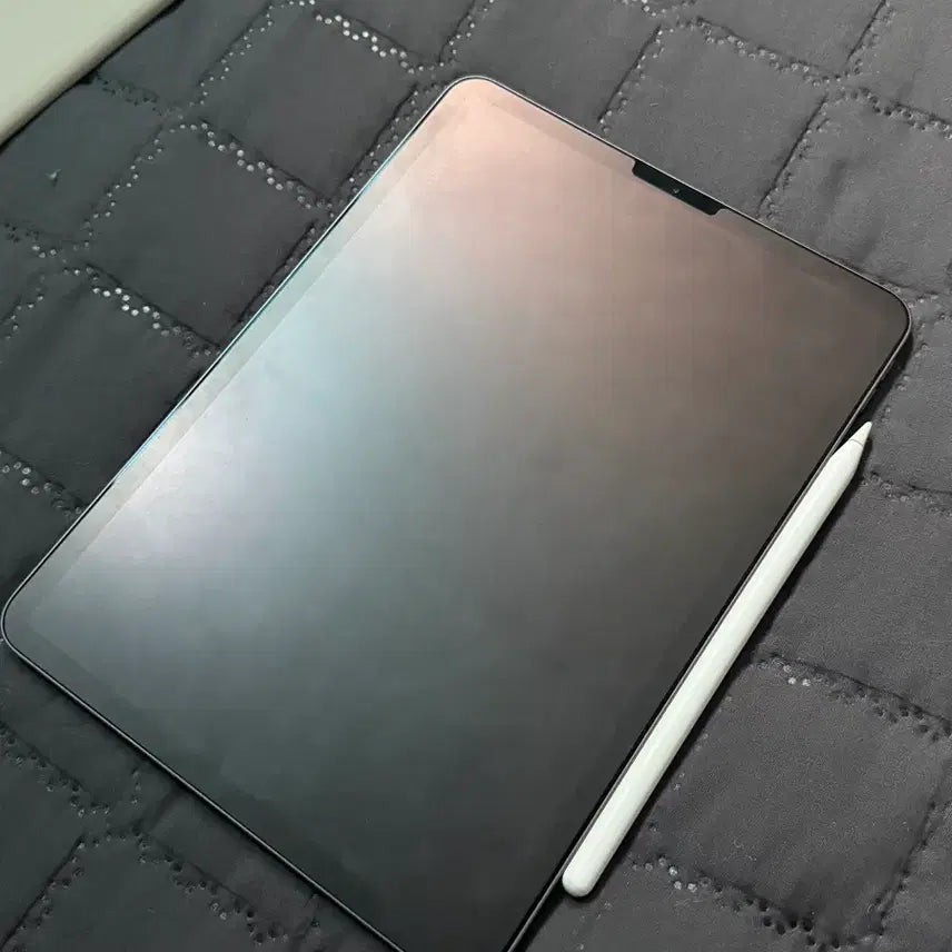[BUNJANG] Apple iPad Pro 11-inch 2nd Gen 128GB + Apple Pencil 2nd Gen Bundle / 급처 풀박스 아이패드 프로 11 2세대 128gb + 애플펜슬 2세대
