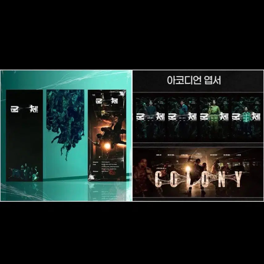 [BUNJANG] TTT Accordion Postcard Bundle Set / cgv 군체 ttt + 아코디언 엽서 일괄 특전 티티티 삼티 구교환