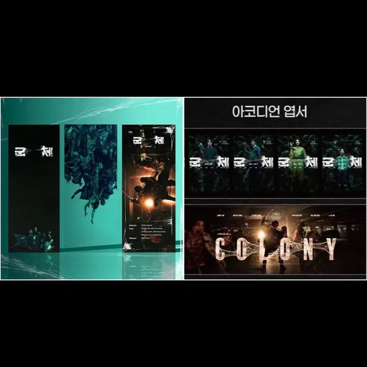 [BUNJANG] TTT Accordion Postcard Bundle Set / cgv 군체 ttt + 아코디언 엽서 일괄 특전 티티티 삼티 구교환