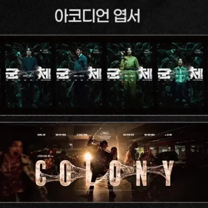 [BUNJANG] TTT Accordion Postcard Bundle Set / cgv 군체 ttt + 아코디언 엽서 일괄 특전 티티티 삼티 구교환