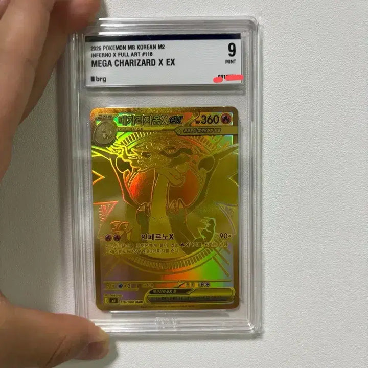 [BUNJANG] Mega Charizard Pokémon Card / 메가리자몽mur brg9 교환 및 판매