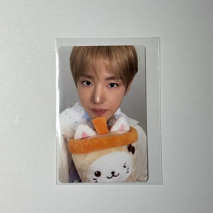 [BUNJANG] NCT WISH Bakery Pop-Up Photocard Yushi / 위시 베이커리 팝업 7만원 포카 유우시