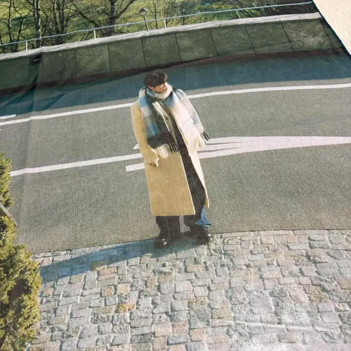 [BUNJANG] Baekhyun FROM B Swiss Fabric Poster / 백현 FROM B 스위스 패브릭 포스터