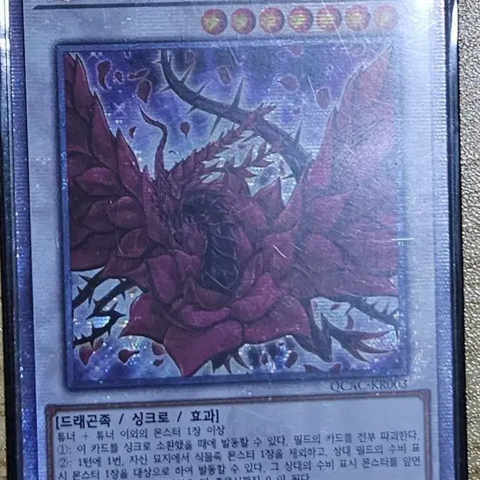[BUNJANG] Yu-Gi-Oh! Black Rose Dragon Card / 쿼싴)유희왕 블랙 로즈 드래곤 카드