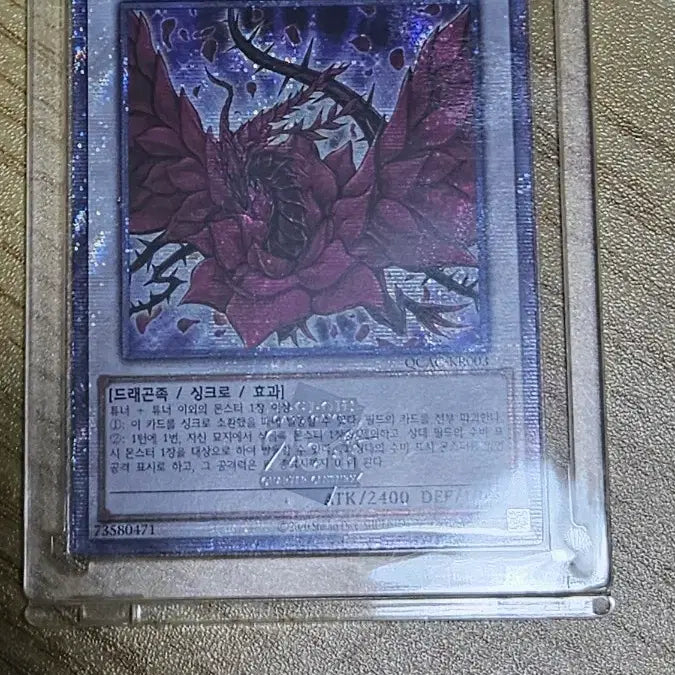 [BUNJANG] Black Rose Dragon Yu-Gi-Oh! Card / 쿼싴)유희왕 블랙 로즈 드래곤 카드