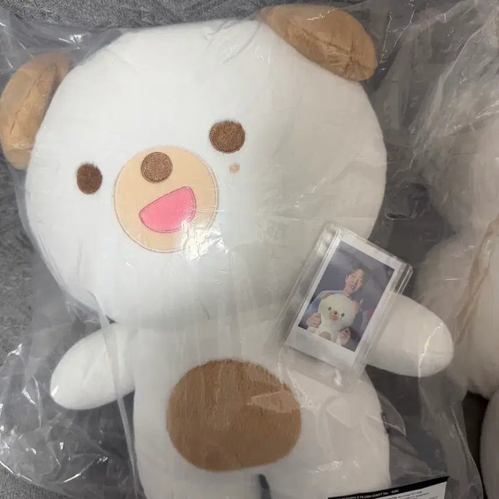 [BUNJANG] Jabbul Money Photocard / 자쁘멀 돈 양도
