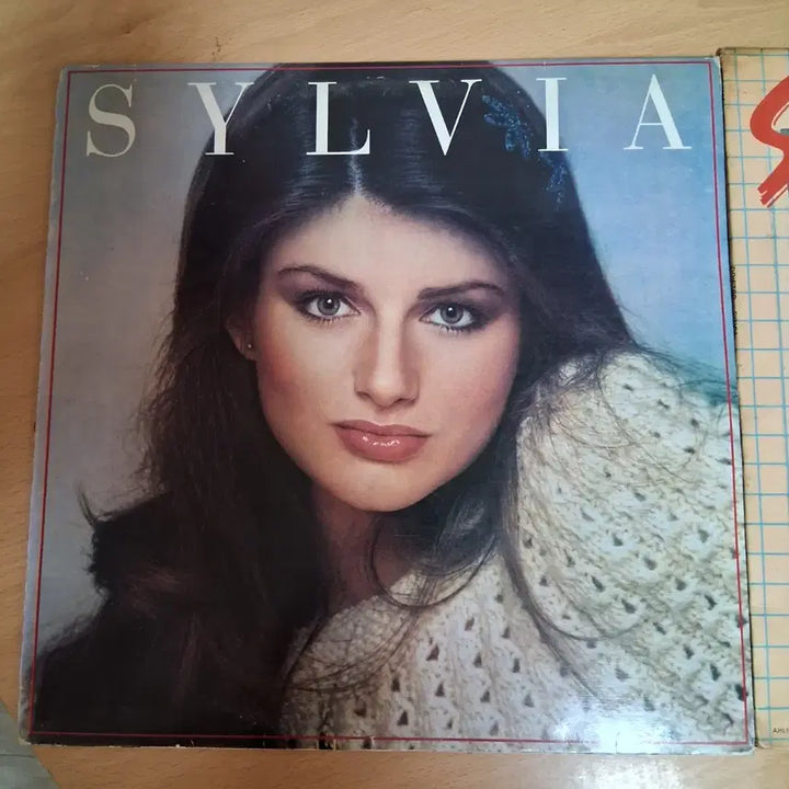 [BUNJANG] Sylvia "Biseo Chusin Sunjinpa Yeogasu" LP Set (2 Records) / 비서출신 순진파 여가수 Sylvia 가수 음반 LP 2장 세트