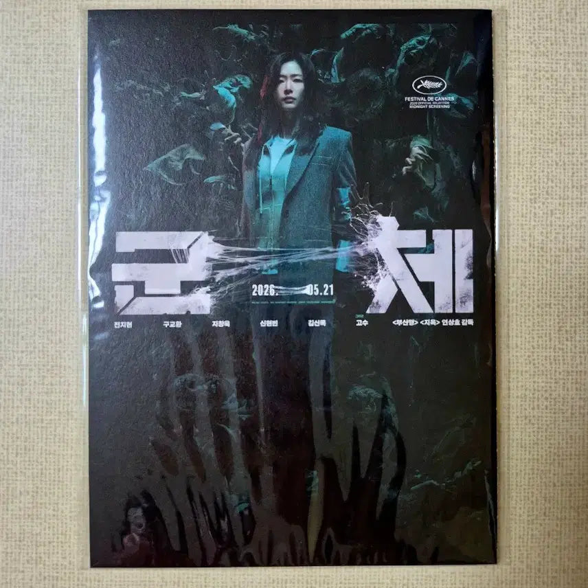 [BUNJANG] Accordion Postcard / 최저가 군체 아코디언 엽서