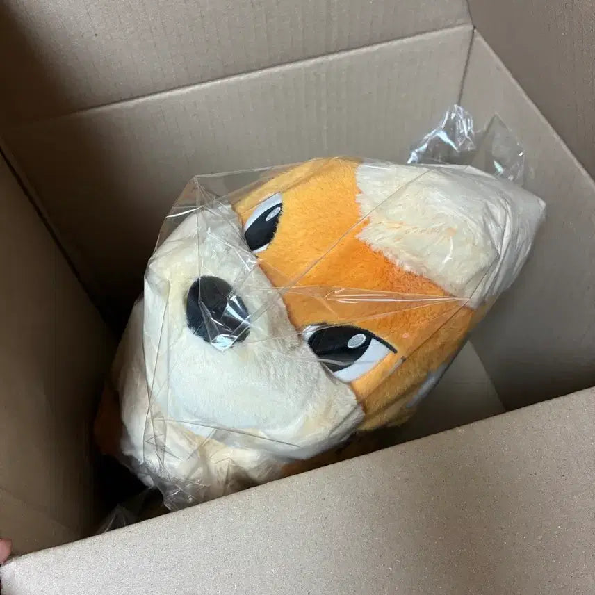 [BUNJANG] Pokemon Center Sitting Growlithe Plush Toy / 포켓몬 코리아 포켓몬센터 봉제인형 앉아있는 가디 판매합니다