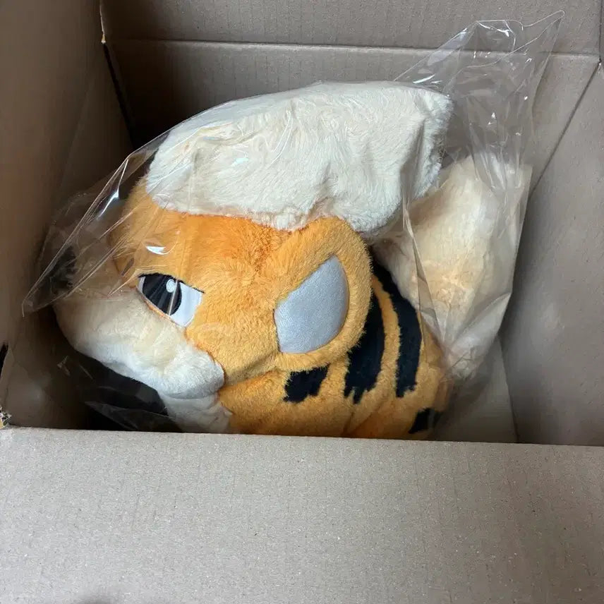[BUNJANG] Pokemon Center Sitting Growlithe Plush Toy / 포켓몬 코리아 포켓몬센터 봉제인형 앉아있는 가디 판매합니다