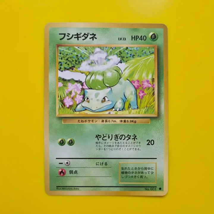 [BUNJANG] Pokemon Card 1996 Bulbasaur S-Class Japanese 1st Edition / 포켓몬카드 1996 이상해씨 s급 일본판 초판