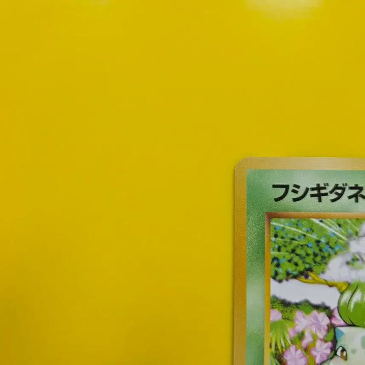 [BUNJANG] Pokemon Card 1996 Bulbasaur S-Class Japanese 1st Edition / 포켓몬카드 1996 이상해씨 s급 일본판 초판