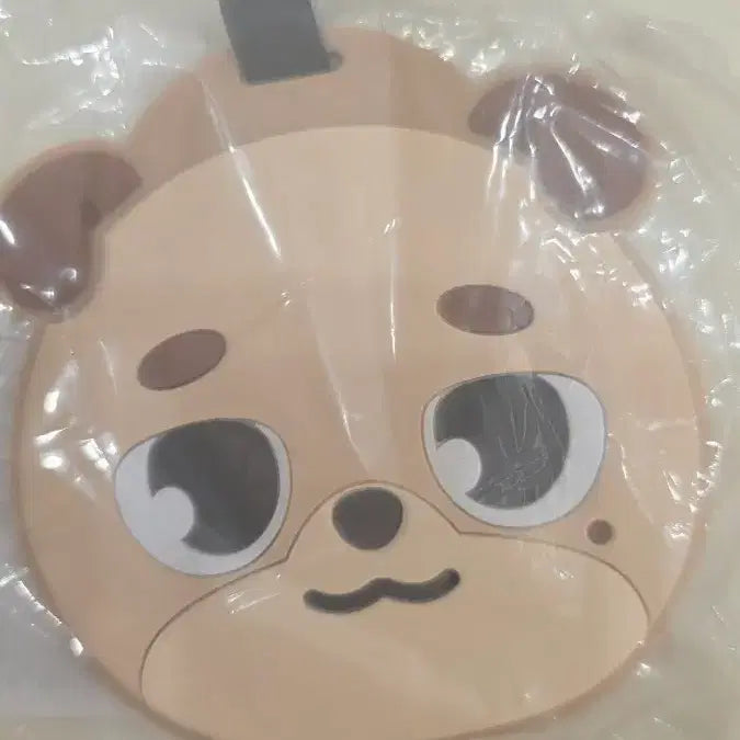[BUNJANG] Day6 Luggage Tag / 데이식스 러기지택 판매합니다.