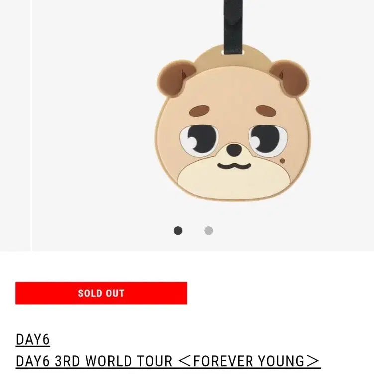 [BUNJANG] Day6 Luggage Tag / 데이식스 러기지택 판매합니다.