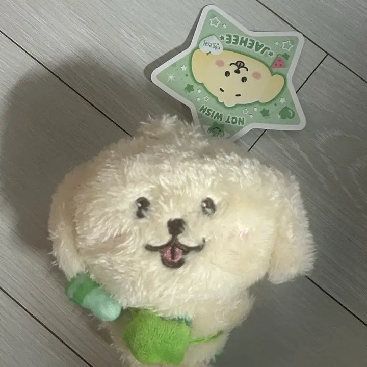 [SOLD OUT] 댕트리버 양도