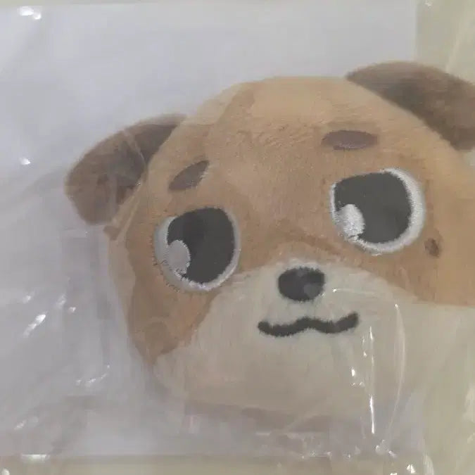 [BUNJANG] Day6 Toy Badge / 데이식스 토이 뱃지 판매합니다.