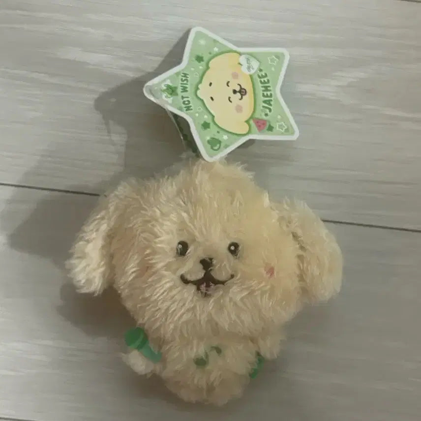 [BUNJANG] Pocket Wishdoll Dentryver Bundle Set / 포켓 위시돌 댕트리버 양도